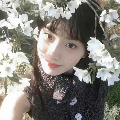 野兽家族第一季